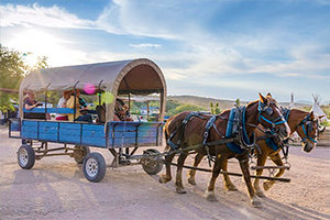 Horse-drawn Wagon Ride Photo 1