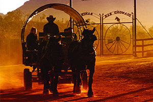 Horse-drawn Wagon Ride Photo 2